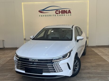 BYD Destroyer 05