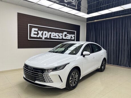 BYD Destroyer 05 2024