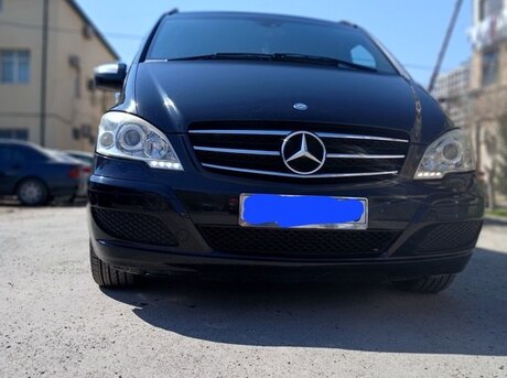 Mercedes Viano