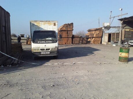 Foton Forland