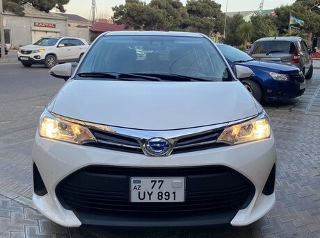 Toyota Corolla Fielder