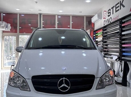Mercedes Viano