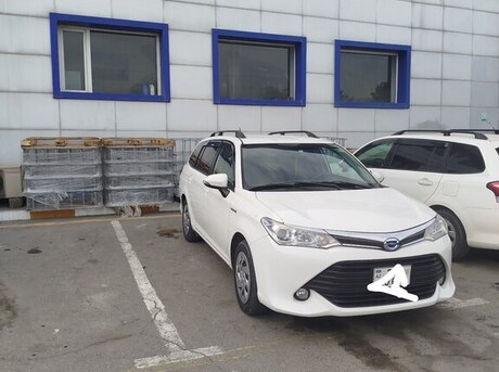 Toyota Corolla Fielder