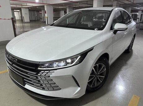 BYD Destroyer 05 2024