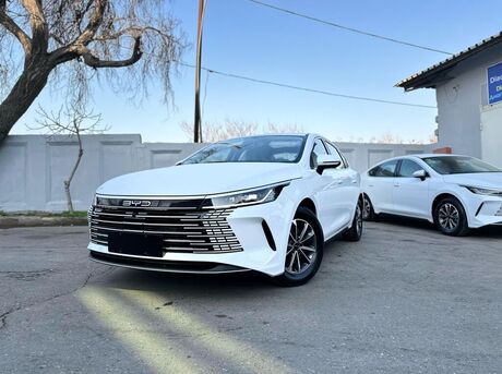 BYD Destroyer 05 2024