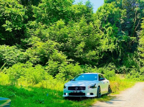 Nissan Maxima 2011