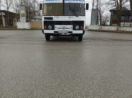 PAZ 32054