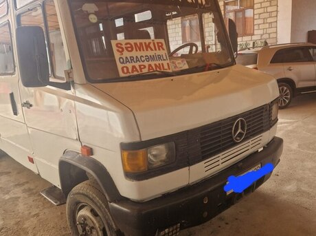 Mercedes 609 D