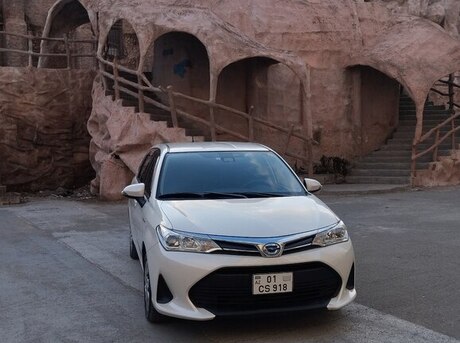 Toyota Corolla Fielder 2019
