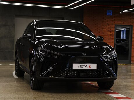 Neta L