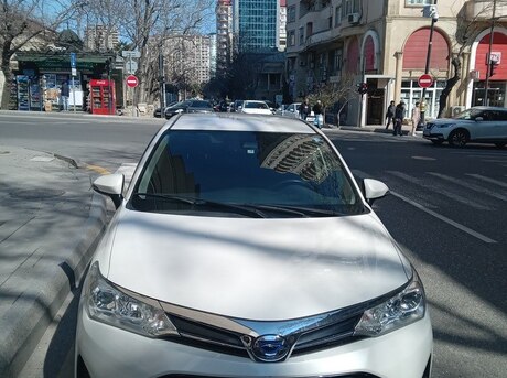 Toyota Corolla Fielder 2019