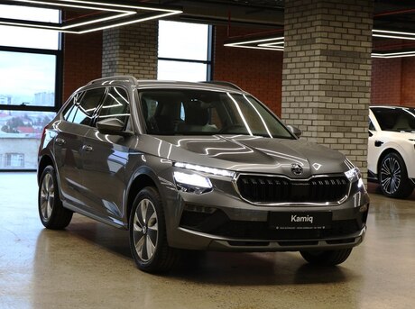 Skoda Kamiq 2024