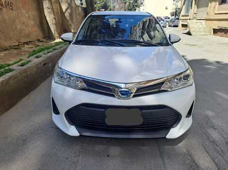 Toyota Corolla Fielder 2019