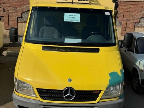 Mercedes Sprinter 313 2003