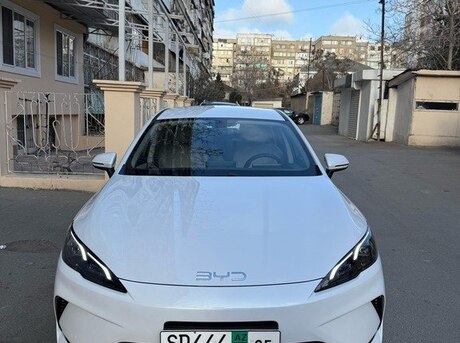 BYD  2025