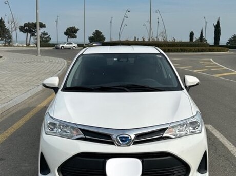 Toyota Corolla Fielder 2019