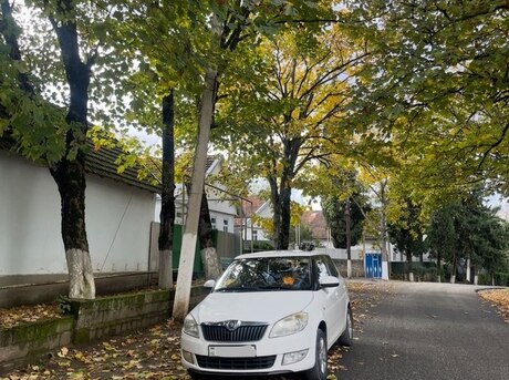 Skoda Fabia 2013