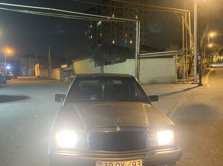 Mercedes 190 1989