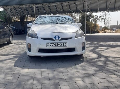 Toyota Prius 2011