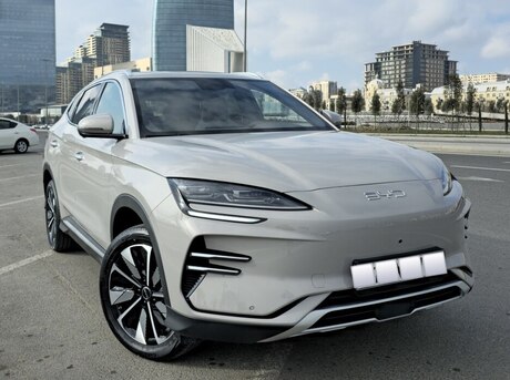 BYD  2024
