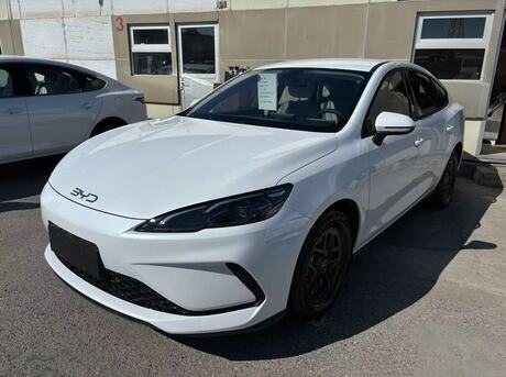 BYD  2025