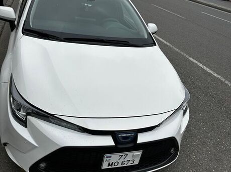 Toyota Corolla 2019