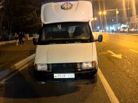 GAZ GAZel (33021)