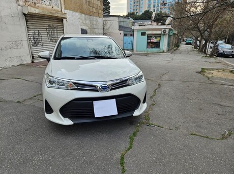 Toyota Corolla Fielder 2019