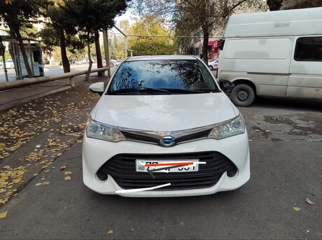 Toyota Corolla Fielder 2019