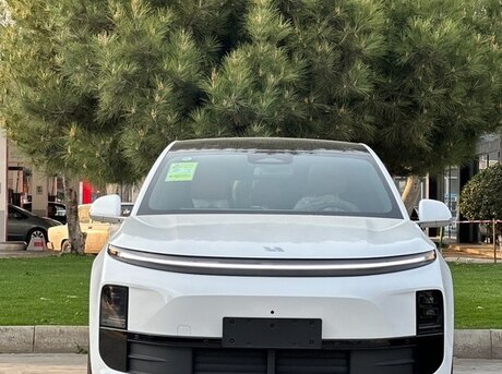 Li Auto  2024