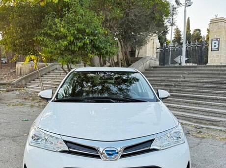 Toyota Corolla Fielder 2019