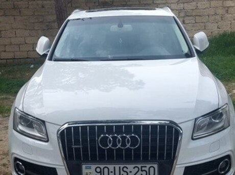 Audi Q5 2013