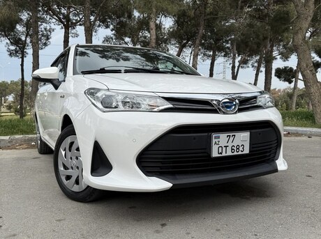 Toyota Corolla Fielder 2019