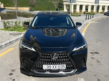 Lexus NX 200 2022