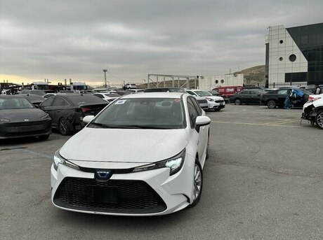 Toyota Corolla 2019