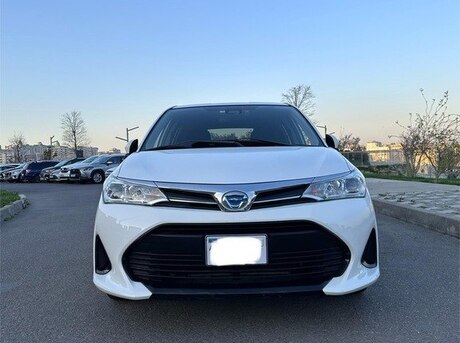 Toyota Corolla Fielder 2019