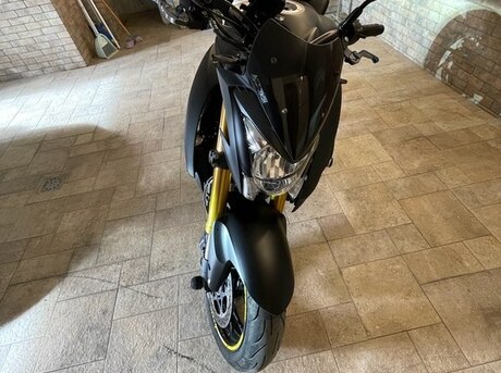 Suzuki  2015