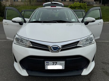 Toyota Corolla Fielder 2019