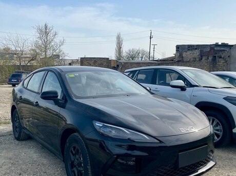 BYD  2025