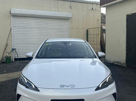 BYD  2025