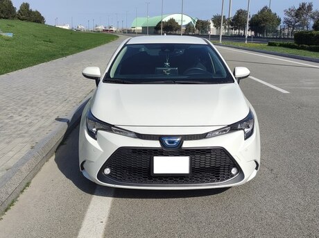 Toyota Corolla 2019