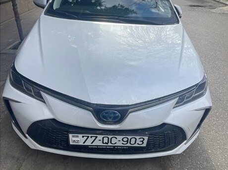Toyota Corolla 2023