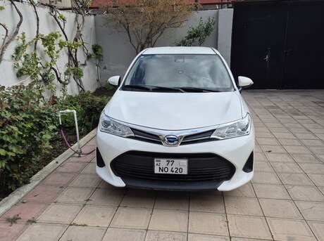 Toyota Corolla Fielder