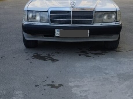 Mercedes 190 1991