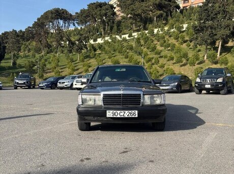 Mercedes 190 1991