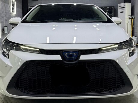 Toyota Corolla 2019