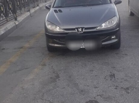 Peugeot 206 2006