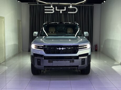 BYD  2025