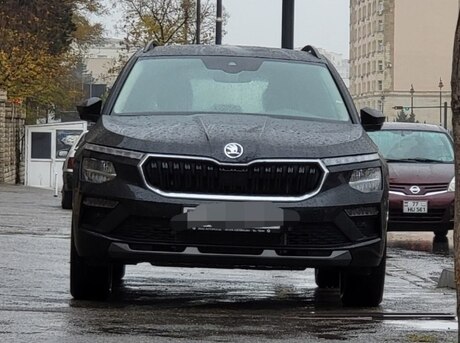 Skoda Kamiq 2024