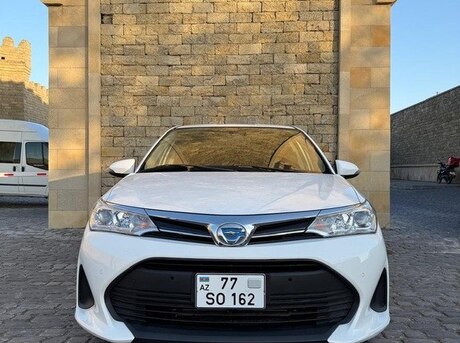 Toyota Corolla Fielder 2019